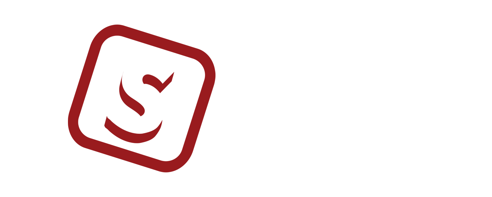Stek USA Logo